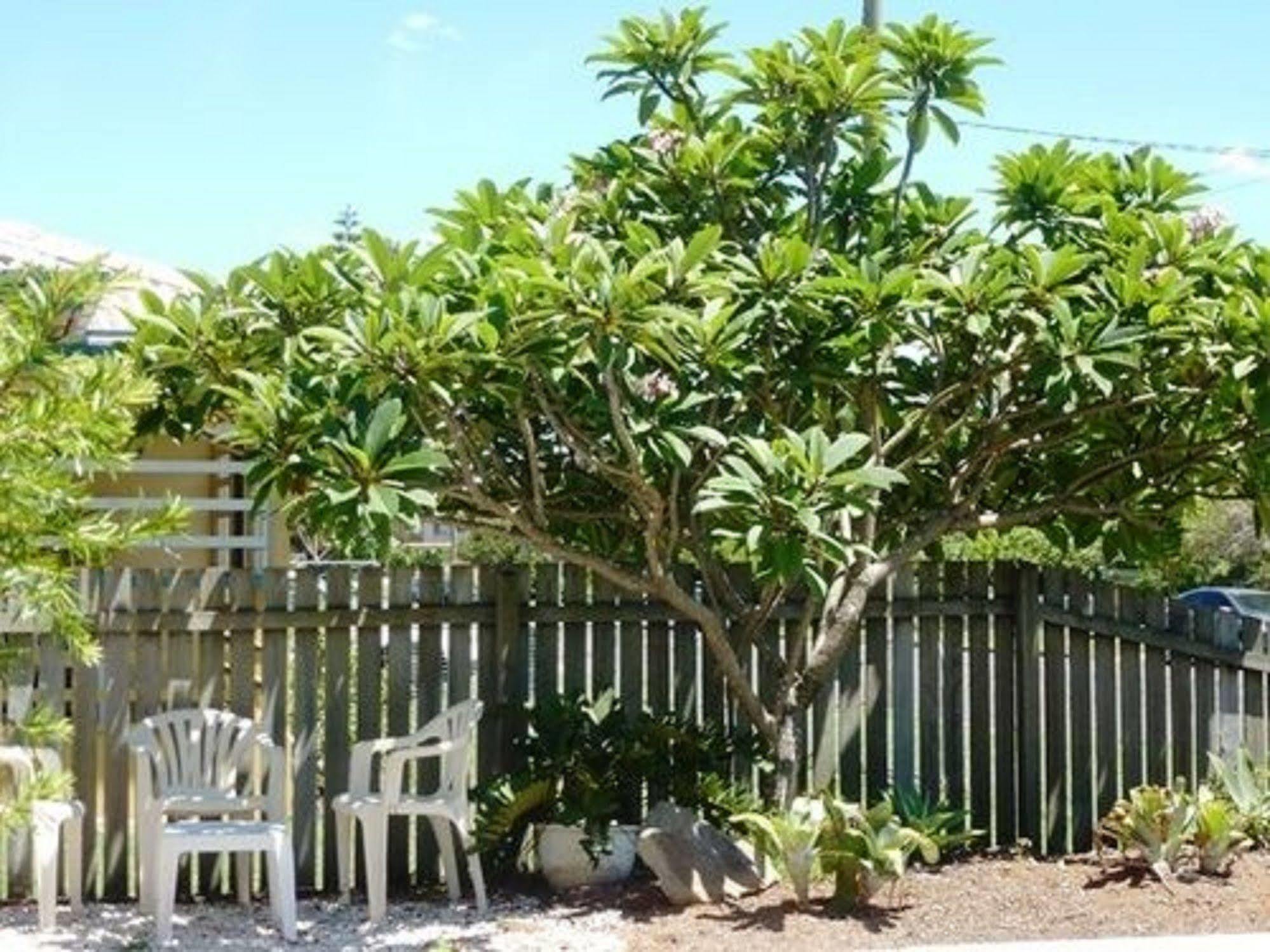 مولولابا Twin Pines Motel المظهر الخارجي الصورة